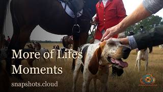 More of Lifes Momements