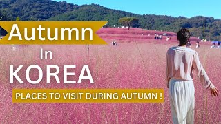 Autumn in Korea 🍁|| Must Visit Places during Autumn 🇰🇷|| #autumninkorea #koreavlog