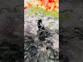 Volkswagen Teramont VS Giant Lava Pit