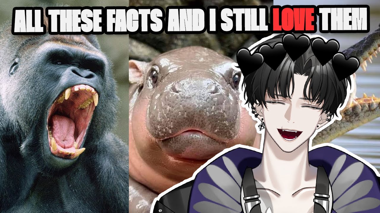 ЭТИ ФАКТЫ О ЖИВОТНЫХ ЗАСТАВЛЯЮТ МЕНЯ ОСТАВАТЬСЯ ОТШЕЛЬНИКОМ! | Реакция на Casual Geographic