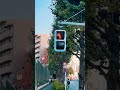 なんだこの信号機は!?!?!? #shorts