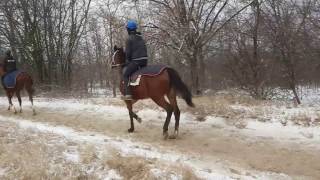 20170112 092247