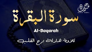 سورة البقرة ( كاملة ) رقية للمنزل وعلاج للسحر للقارئ علاء عقل - Surah Al-Baqara Full by Alaa Aql
