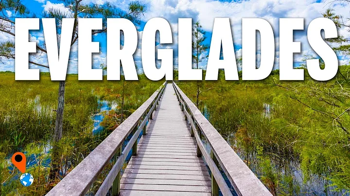 EVERGLADES National Park | Your QUICK GUIDE! | Travel Video