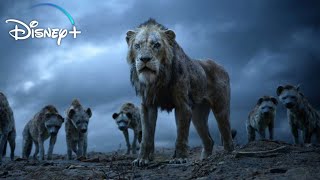 Simba returning scene_Hindi_The Lion King (2019)