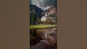 سورة الفلق - sourate Al-Falaq بصوت القارئ الشيخ بندر بليلة