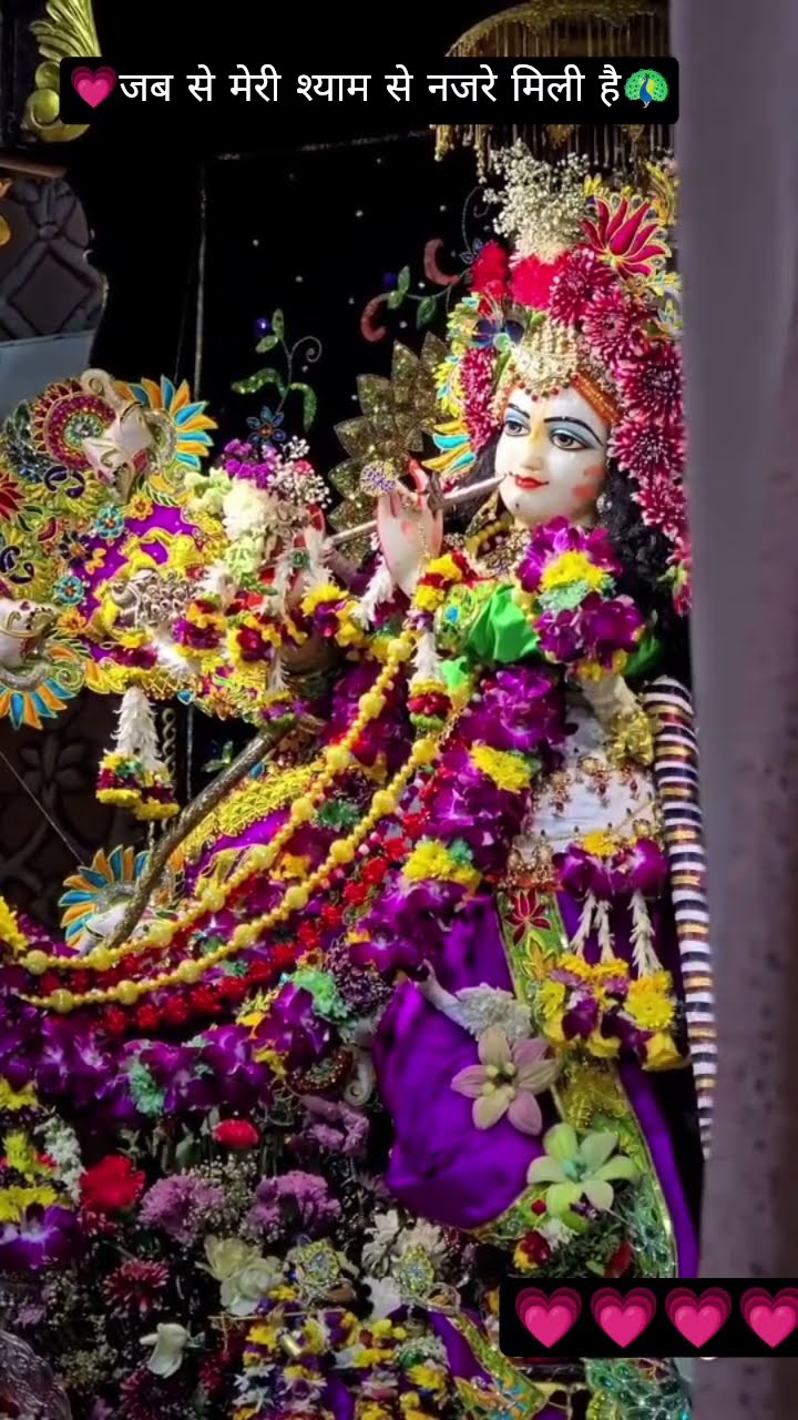 🌞 Good Morning🌞 - ShareChat