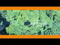 【THE JEWELS】期間限定ランチコース Montagne ーモンターニュー 2021.7.17~