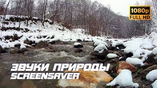 Живая природа - Река | Зима | Звуки природы | Звуки ручья | Шум воды | Релаксация | Заставка для ТВ