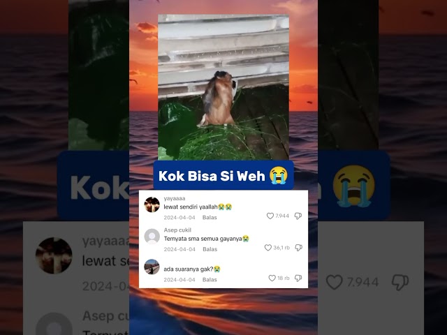 Ternyata semua sama aja 😭 #meme #viralshorts