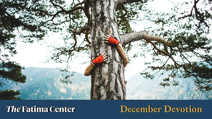 The False Religion of Environmentalism | Monthly D...