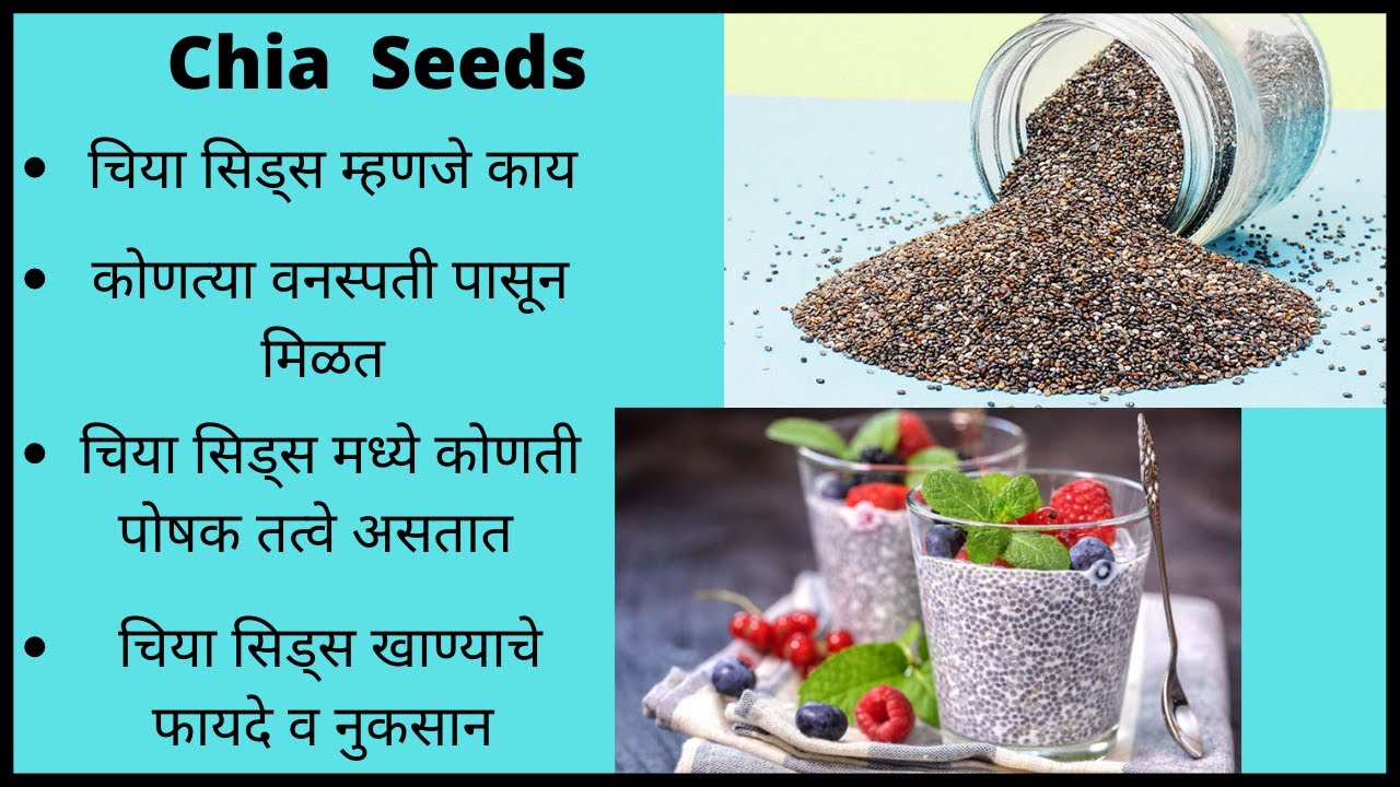 Chia Seeds म्हणजे काय व हे खाण्याचे काय फायदे व नुकसान आहेत/Benefits