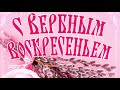 Поздравление с Вербным Воскресеньем. С Праздником Красивая Открытка на Вербное Воскресенье