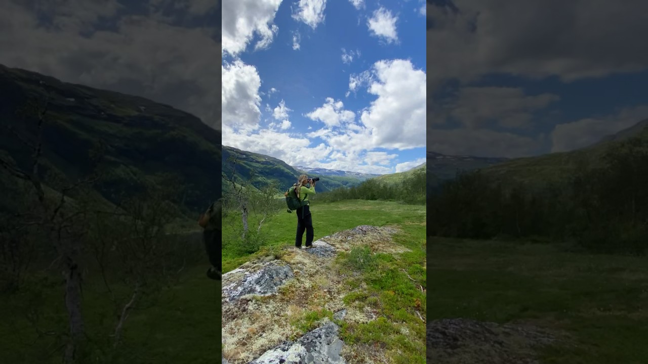 Birding in Norway - migratory mountain birds 