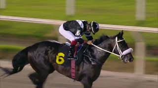 Vidéo de la course PMU PREMIO DON MUSA (2023)
