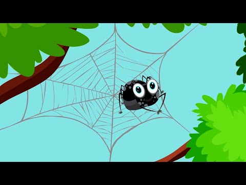 Βίντεο: Είναι αράχνη η αράχνη του κελαριού;