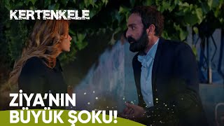 Zehra, Ziyanın Kaçması Için Ona Yardım Ediyor - Kertenkele 28. Bölüm