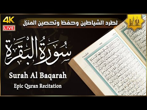سورة البقرة كاملة لحفظ وتحصين المنزل تلاوة عذبة القارئ حمزة الفار Surah Al Baqarah