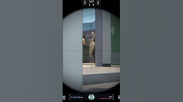 AWP No Scope Collateral