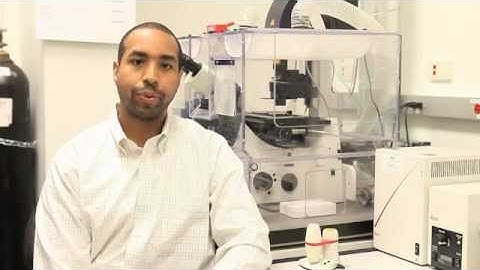 Sonic Hedgehog Directs Cortical Circuit Formation