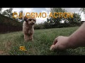 DJI Osmo Action 1080 slo mo 8x