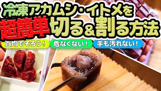 【簡単】冷凍アカムシを切る方法・割る方法を探る！セリアで買ったグッズが最強だった #アクアリウム #百均