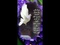 محمد رسول الله نور تلألأ نشيد رائع