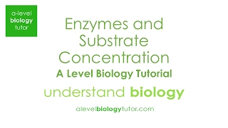 Substrate concentration and Enzymes A-level (2017 papers guide on my website)