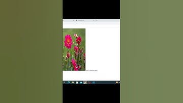 anchor tag part I II how to create hyperlink in html