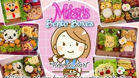 Bento Making: How to/I start | Bento Accessories Organization