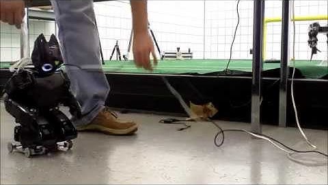 DARwIn OP Robot Skating