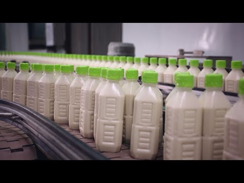 豆漿-台灣美食│Soy Milk Production Line-Taiwanese Food