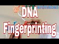 DNA Profiling Quiz