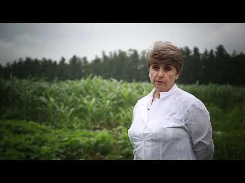 საქართველოს აგრარული და თავისუფალი უნივერსიტეტები