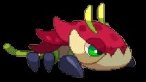 how to get a pokkit in prodigy