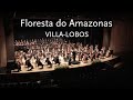 Floresta do Amazonas • Villa-Lobos • Orquestra Sinfônica de Campinas