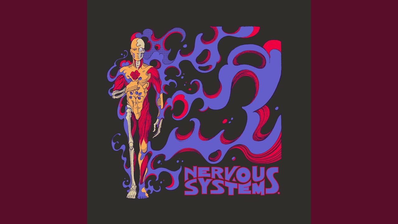 Watch Nervous Systems on YouTube Watch Nervous Systems on YouTube