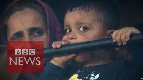 Migrant Crisis: 