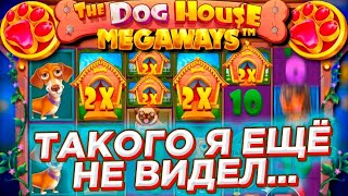:    THE DOG HOUSE MEGAWAYS |      !!!