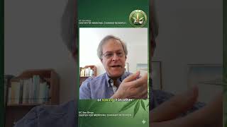 🌿💨 Cannabis Smoke Is More Than THC Delivery 🌿💨 Cannabis Smoke Is More Than THC Delivery