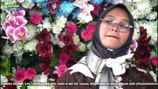 Pria Idaman - OT CSG Pernikahan Devi & Indra di Ds, Mekarsari, Kec. Warkuk Ranau Selatan, OKUS.