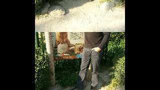 Halit Bilgiç Seni̇ Düşlemek 2013 Yeni̇ Kli̇p