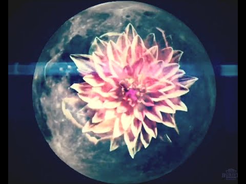 Dorothy Moskowitz — Moon by Retep Folo & Dorothy Moskowitz