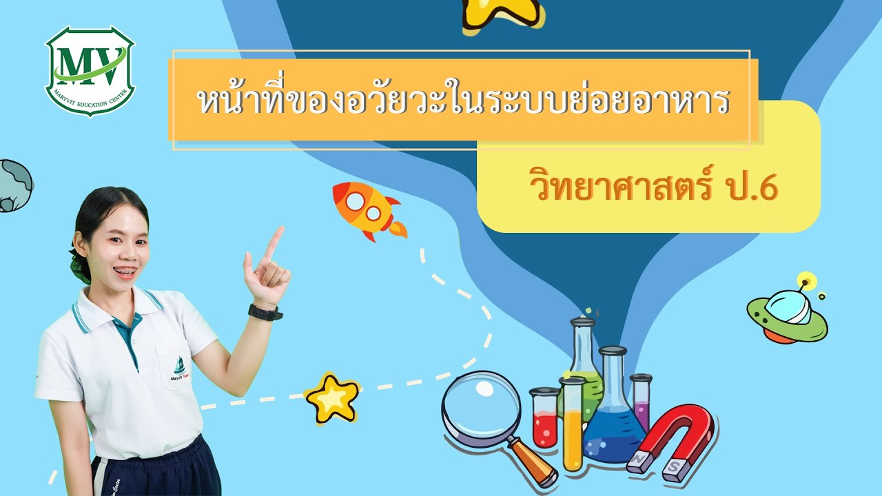 วิทยาศาสตร์ ป.6 |  เรื่องหน้าที่ของอวัยวะในระบบย่อยอาหาร