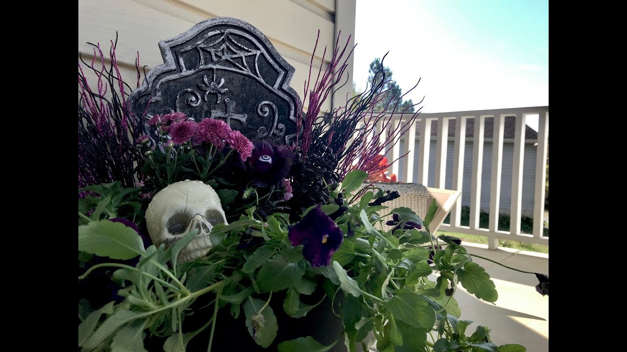 Create a Halloween Planter Arrangement