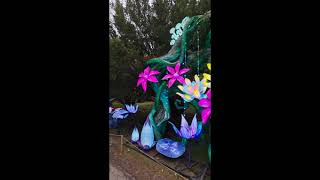 Franklin Wisconsin China Lights Boerner Gardens 10 22 2025 Lauri Novak 2