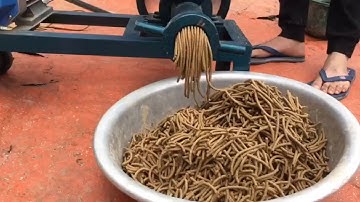 Máy ép cám trục ngang - CTY TNHH TÂM NHI. Lh sđt 0983265504