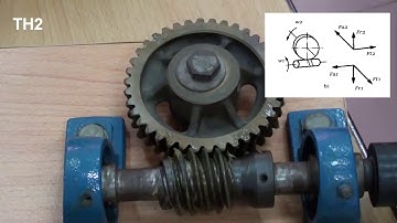 Mô phỏng Phân tích lực trong trục vít - bánh vít