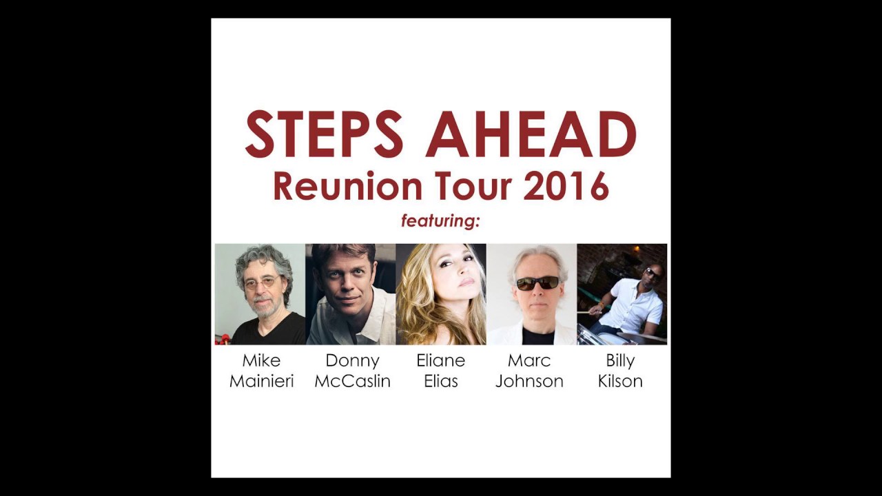 [Wikipedia] Marc Elias