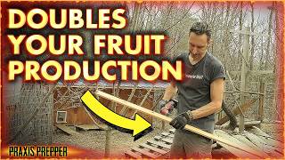 Game Changer for Fruit Orchards screenshot 5